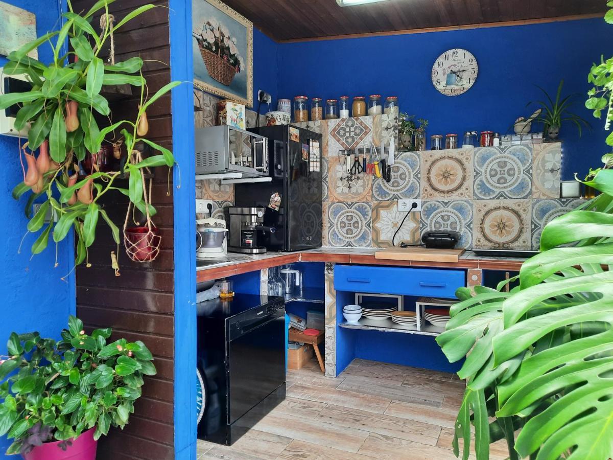 Loft Con Jardin Villa Madrid Ngoại thất bức ảnh